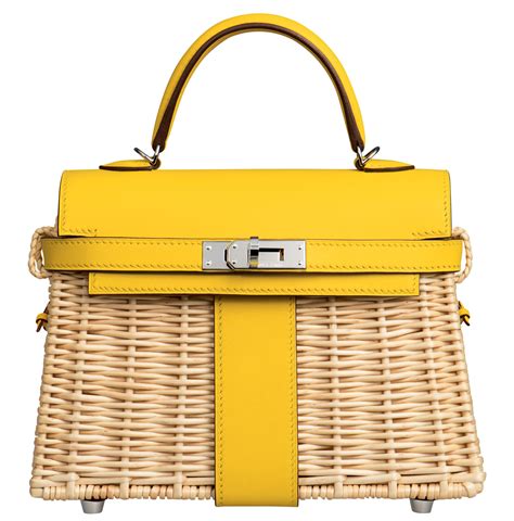 Hermes kelly picnic bag